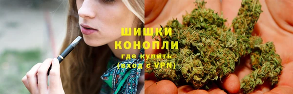 трава Новокубанск
