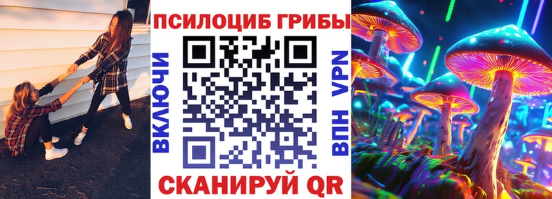 Псилоцибиновые грибы Psilocybe Макушино