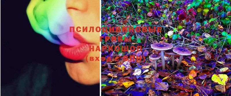 Псилоцибиновые грибы MAGIC MUSHROOMS  цена   Макушино 