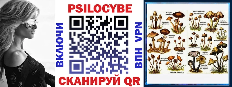 omg   Макушино  Галлюциногенные грибы GOLDEN TEACHER 